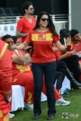 Celebrity Cricket League 2014